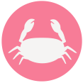 shellfish