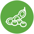 soya